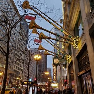 🌲Featuring Da Windy City 🌲